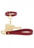 O-Ring Collar and Chain Leash